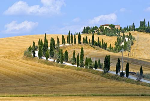 Crete Senesi (Tuscany)